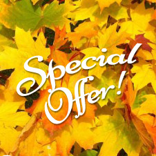 Special Offer
