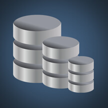 Online Databases