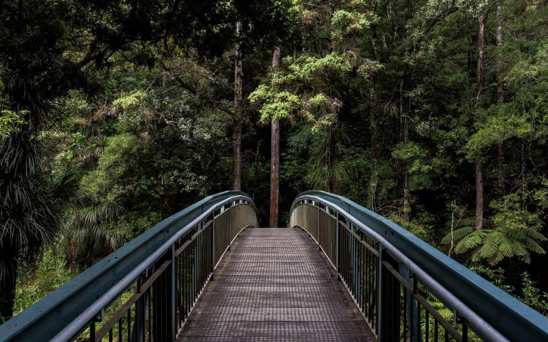 Velit molestias voluptas ut nobis enim