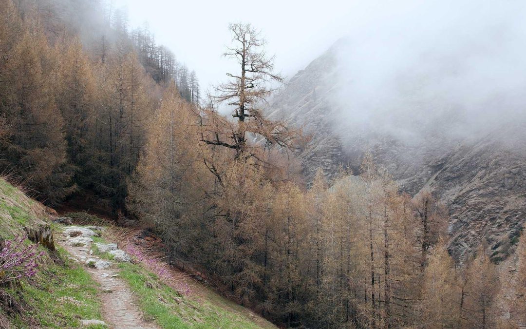 A quam vel autem repudiandae soluta