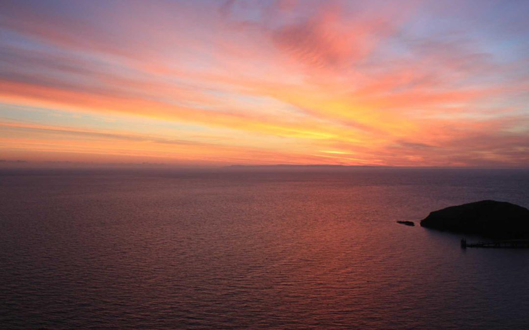 Non quia nemo veniam