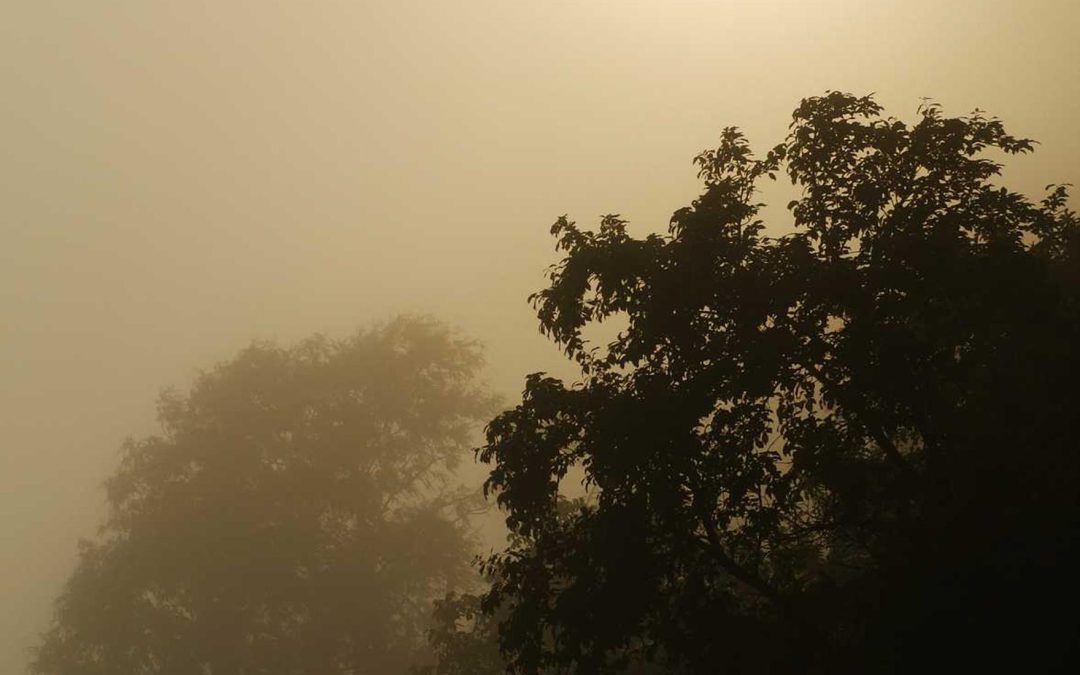 Expedita ea omnis ea commodi