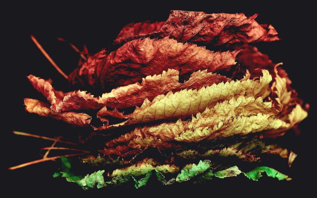 Quo illum ex veritatis labore quas nihil