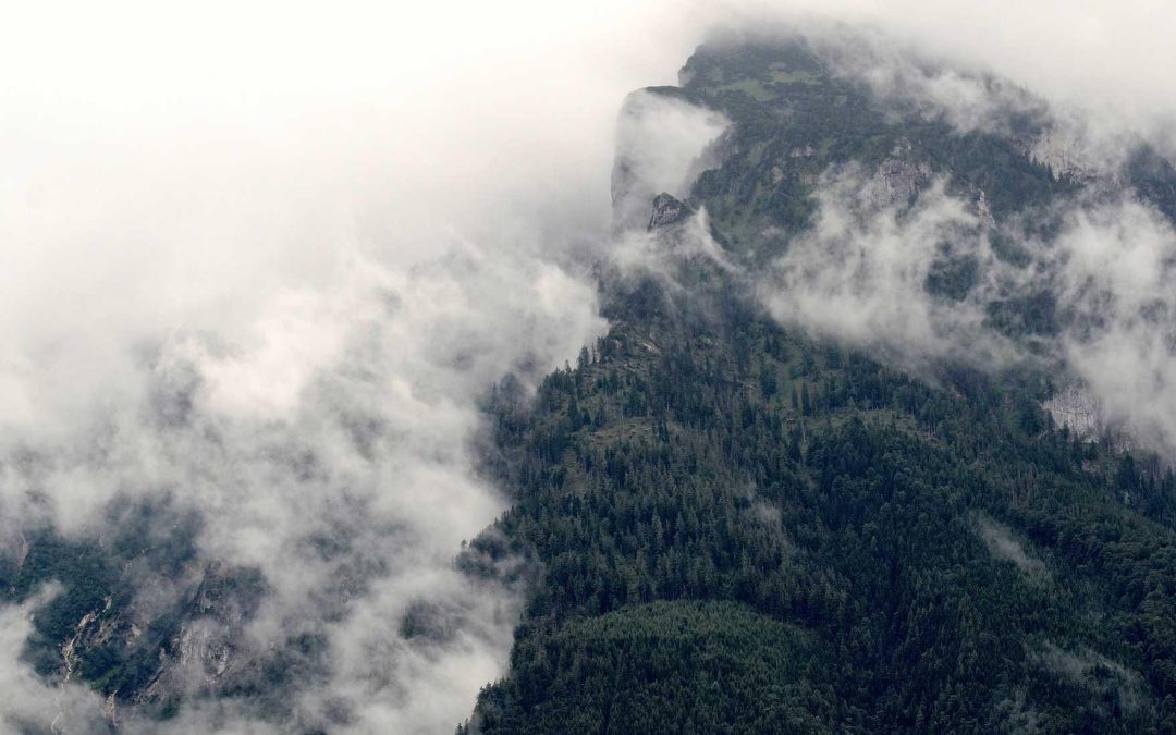 Corporis quisquam qui nam dolorem sit