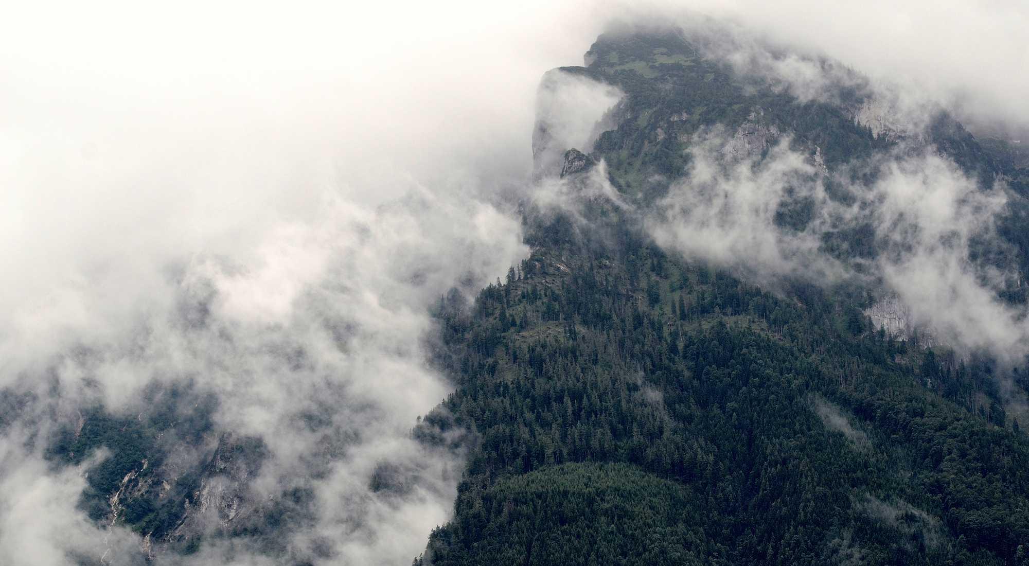 b9cf707b-3d28-30c2-b4e1-2272519eef68