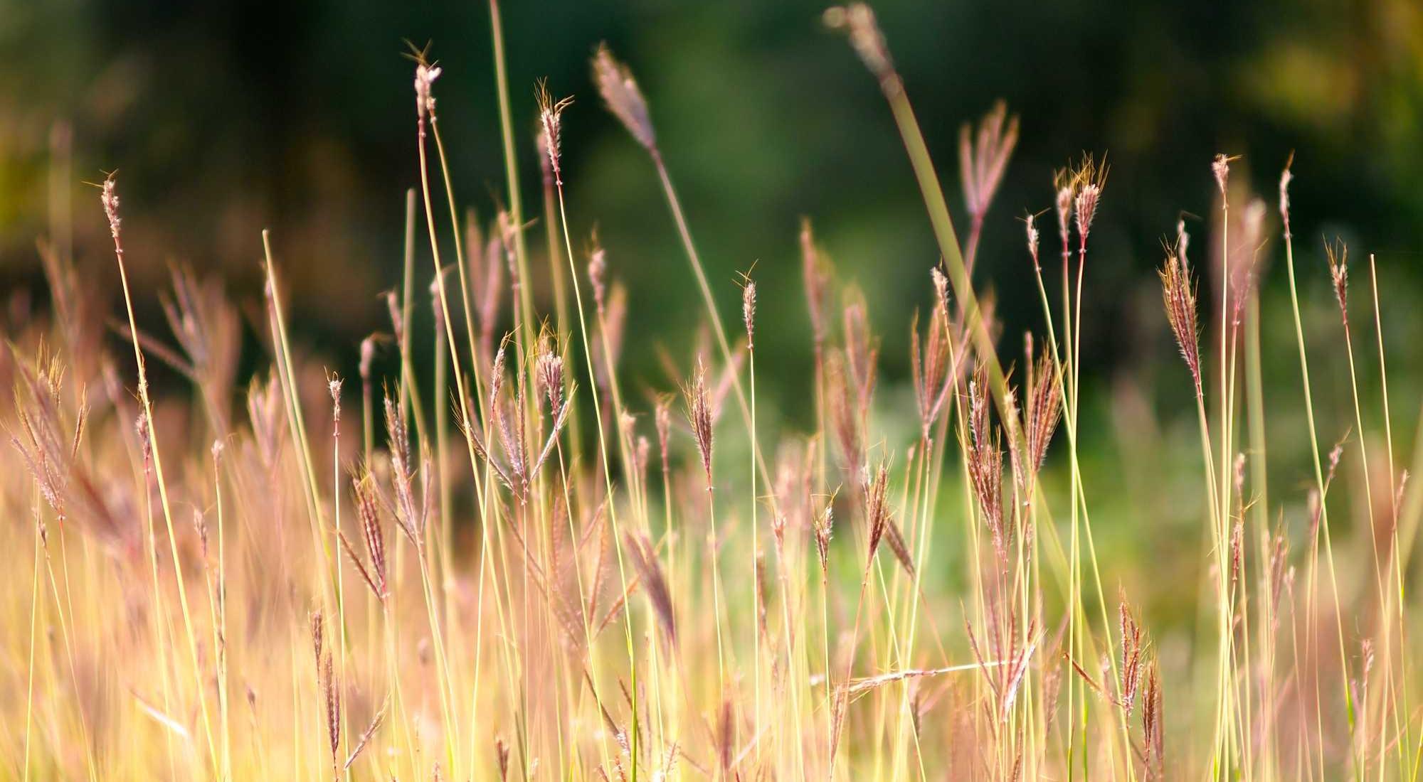 c6049ed2-8b27-3c35-8736-0b4a4e710ddc