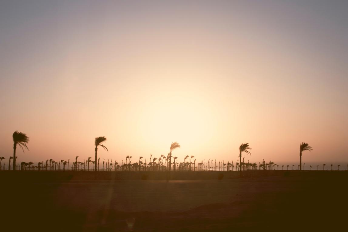 Necessitatibus velit id ut porro voluptatem